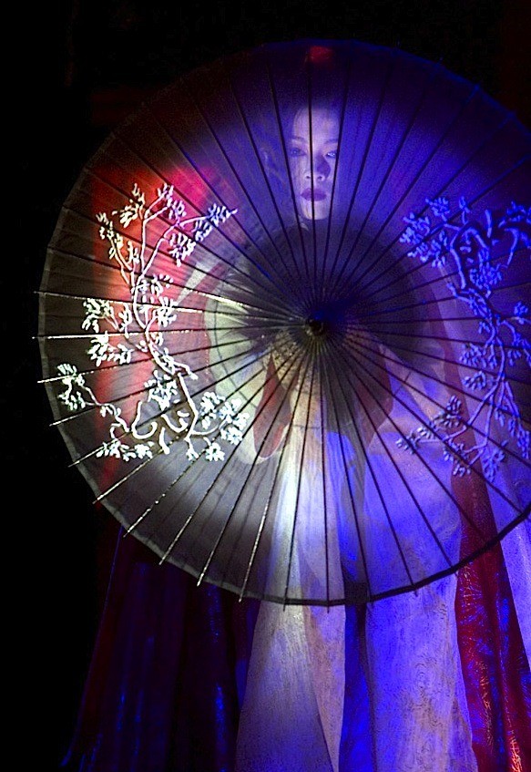 Bir Geyşanın Anıları Fotoğrafı