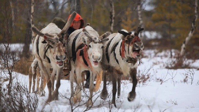 The Final Tundra Fotoğrafı