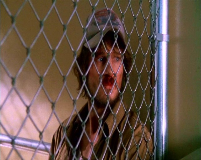 Adaletİ Ararken Fotoğrafı