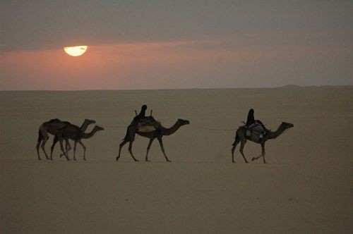 Winds Of Sand, Women Fotoğrafı