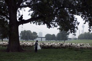 Palermo'da Yüzleşme Fotoğrafı