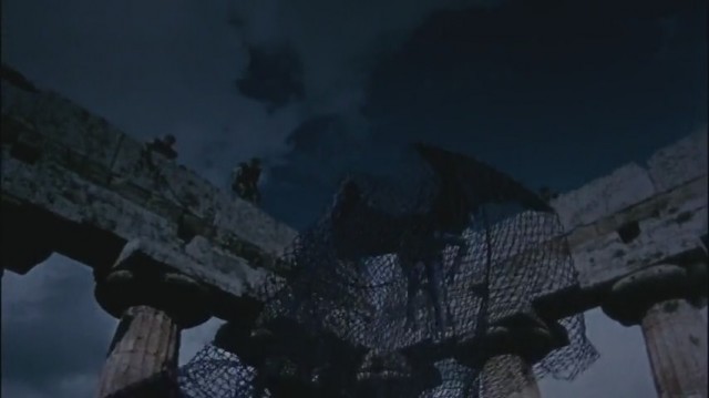 Altın Postlu Cengaver Fotoğrafı