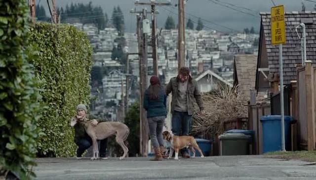 Şansa Bak Fotoğrafı
