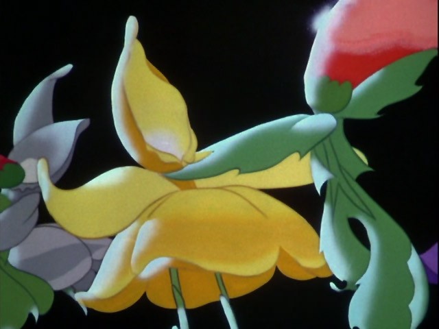 Fantasia Fotoğrafı