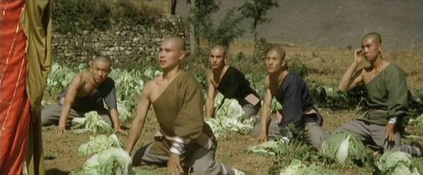 The Shaolin Temple Fotoğrafları 3