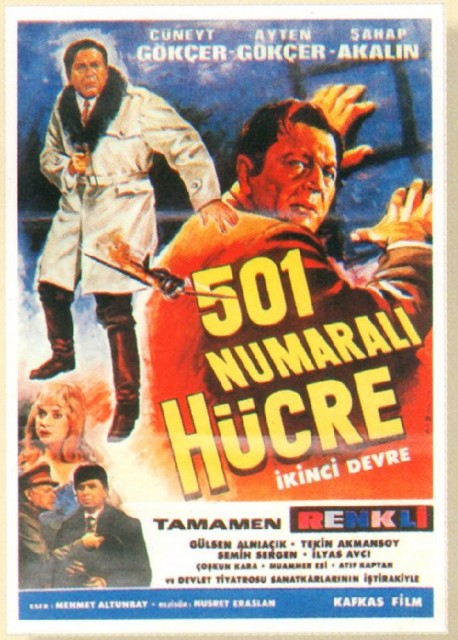 501 Numaralı Hücre Fotoğrafı
