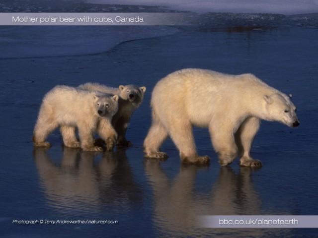 Dünya Gezegeni fotoğrafı Dünya Gezegeni fotoğrafı