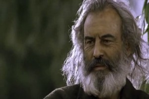 Paramparça Aşklar Köpekler Fotoğrafı