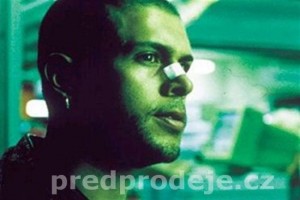 Paramparça Aşklar Köpekler Fotoğrafı