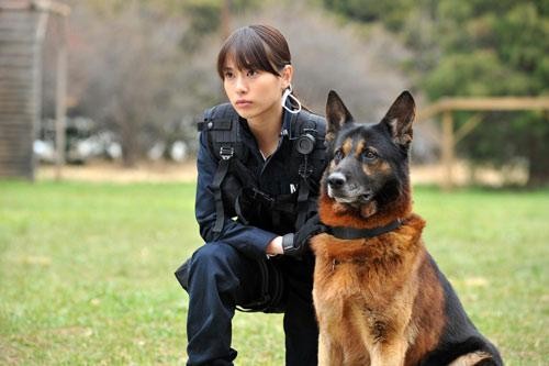 Dog Police Fotoğrafları 1