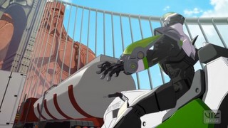 Kaplan Ve Tavşan Fotoğrafı