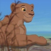 Aslan Kral Fotoğrafı