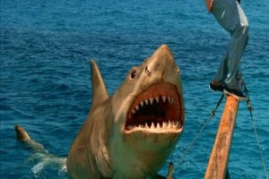 Jaws 4 Fotoğrafları 1