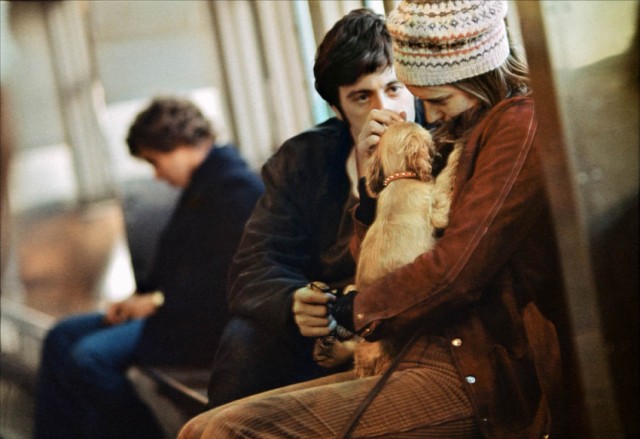 Esrar Bitti Fotoğrafı