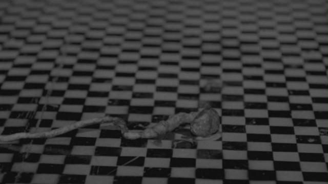 Eraserhead Fotoğrafı