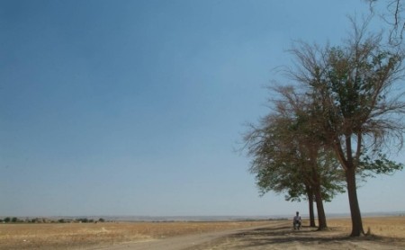 Kaybedenler Fotoğrafı