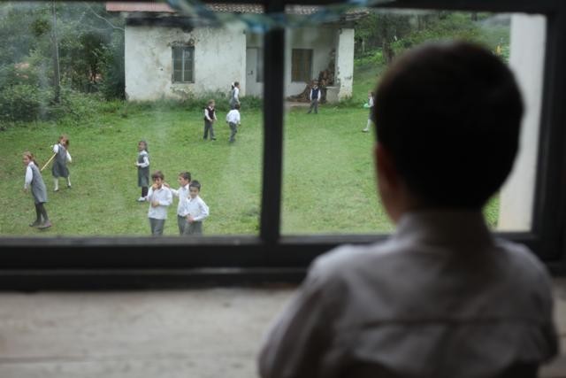 Bal Fotoğrafı
