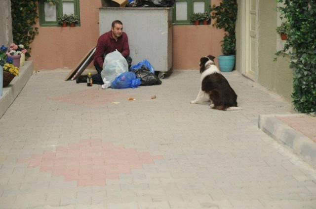 Alemin Kıralı Fotoğrafı