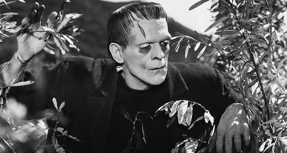 Frankenstein Fotoğrafları 24