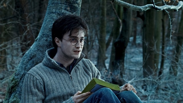 Harry Potter ve Ölüm Yadigarları: Bölüm 1 Fotoğrafı