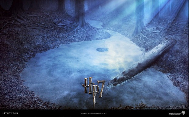 Harry Potter ve Ölüm Yadigarları: Bölüm 1 Fotoğrafı