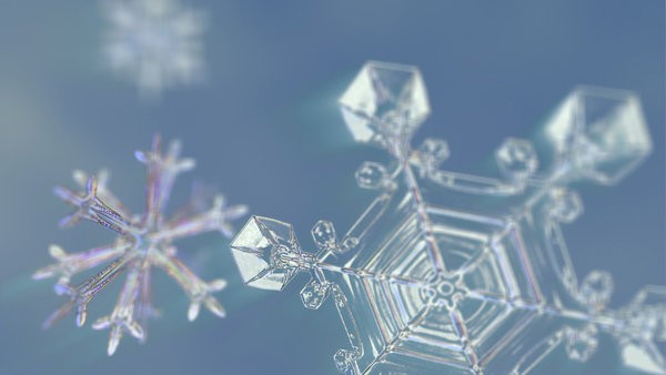 Frozen Planet Fotoğrafı