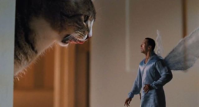 Şans Perisi İş Başında Fotoğrafı