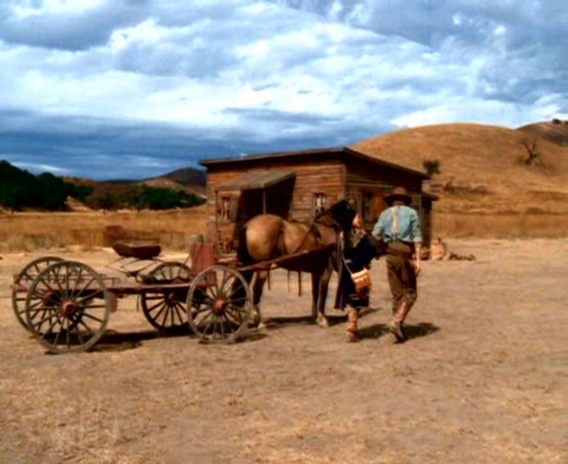 Aşkın Uzun Yolculuğu Fotoğrafı