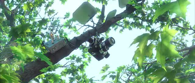 Doğal Kahramanlar Fotoğrafı