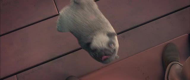 Doğal Kahramanlar Fotoğrafı