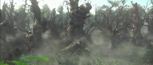 Doğal Kahramanlar Fotoğrafı