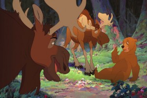 Ayı Kardeş Fotoğrafı