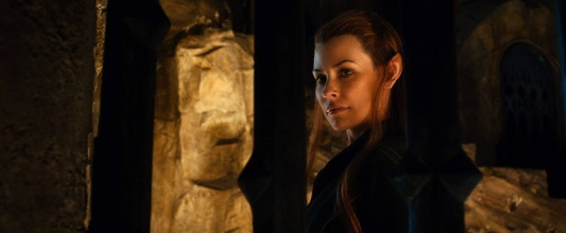 Hobbit: Smaug'un Çorak Toprakları Fotoğrafı