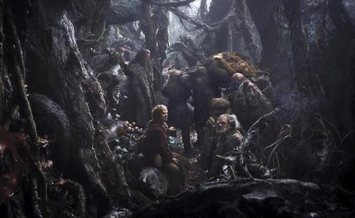 Hobbit: Smaug'un Çorak Toprakları Fotoğrafı