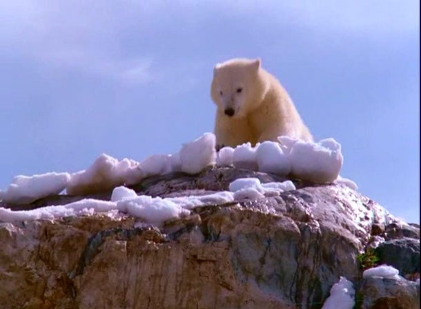 Alaska Fotoğrafı
