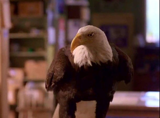Alaska Fotoğrafı