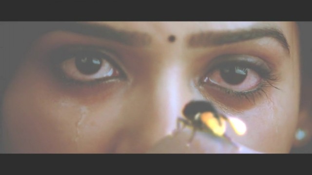 Eega Kara Sineğin İntikamı Fotoğrafı