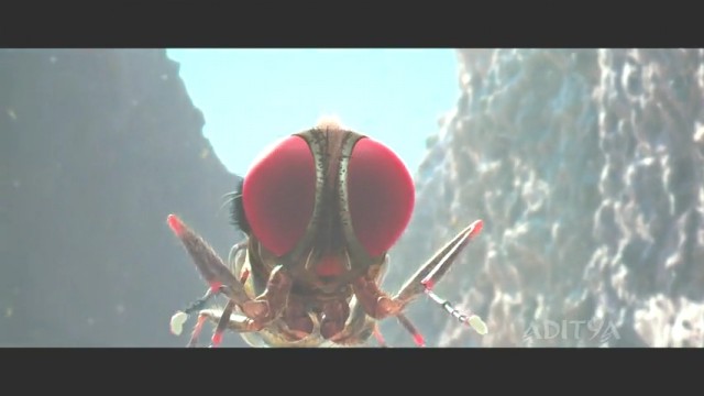 Eega Kara Sineğin İntikamı Fotoğrafı