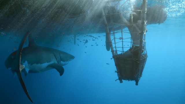 Kon-Tiki fotoğrafı