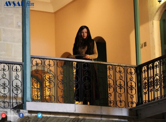 Karagül Fotoğrafı