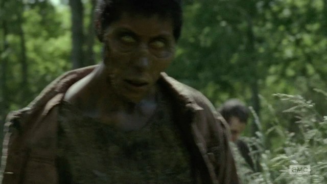 The Walking Dead Fotoğrafı