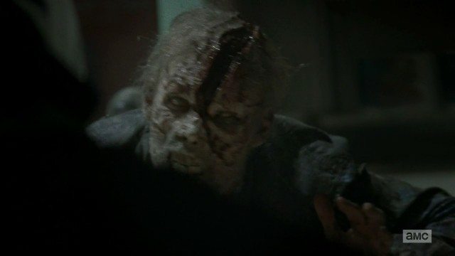 The Walking Dead Fotoğrafı