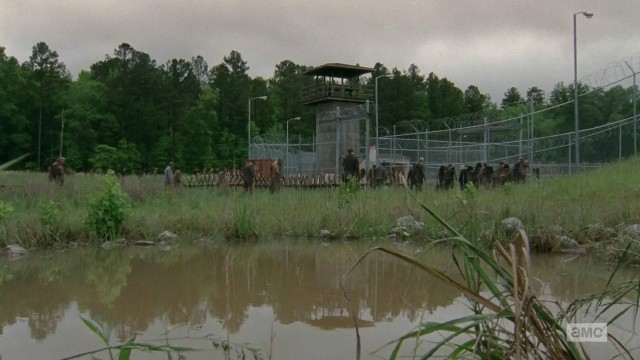The Walking Dead Fotoğrafı