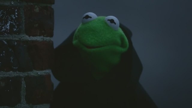 Muppets Aranıyor Fotoğrafları 8