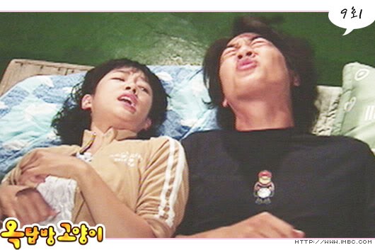 Rooftop Room Cat Fotoğrafı