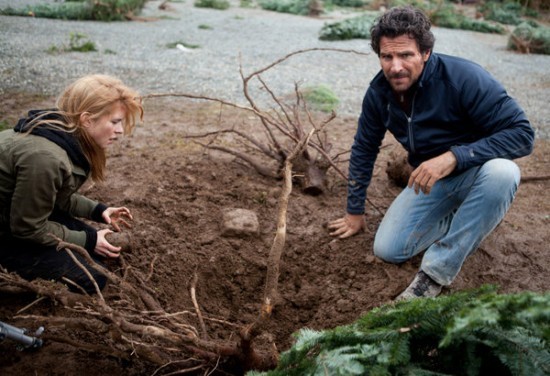 12 Kehanet Fotoğrafı