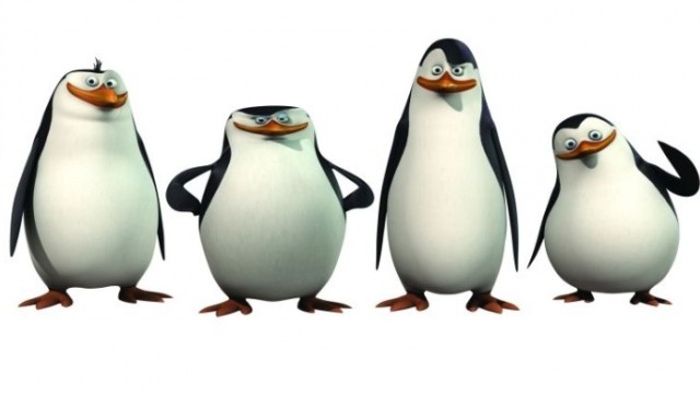 Madagaskar Penguenleri Fotoğrafları 7