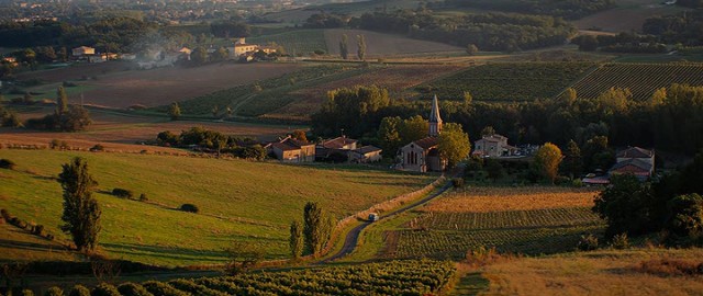 Aşk Tarifi Fotoğrafı