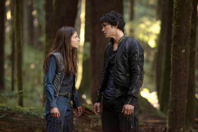 The 100 Fotoğrafı