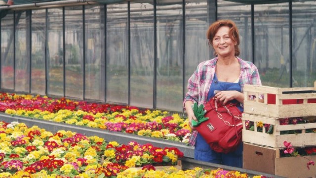 Erkeğin Derdi Ceviz Kırmak Fotoğrafı